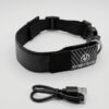 LED Collar LED Dog Collar Rechargeable with Custom Text Display