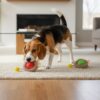 Interactive ball for cats and dogs Automatic Rolling Interactive Pet Ball