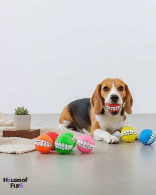 Squeeky funny face ball for dogs Funny face squeaky dog ball toy designed for chewing and fetch