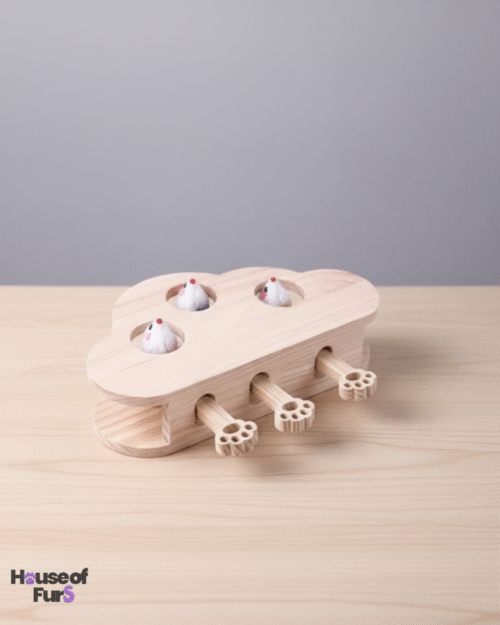 Interactive Catch-the-Rat Cat Toy