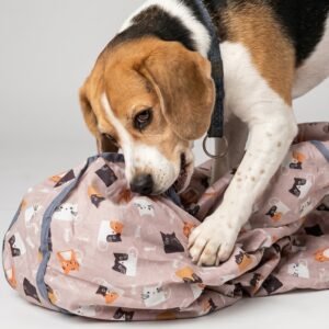 catch the prey toy for dogs and cat catch the prey toy for dogs and cat