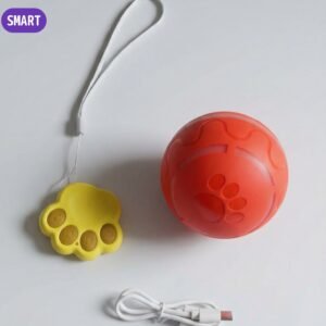 Dash ball for Cats & Dogs with motion