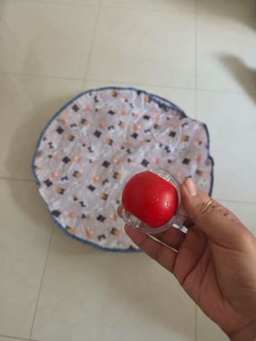 Interactive Prey Simulation Toy