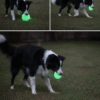 Glow in dark pet toy ball1 glow in the dark dog ball for night play