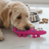 Squeaky Crocodile Dog Toy