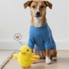 Interactive Squeaky Duck Toy