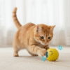 Remove_the_top_202512011458 interactive toy for cats India