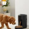 Auto Feeder Function App-Controlled Automatic Pet Feeder- Wireless 2L