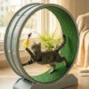 Indoor Pet Treadmill for Small Dogs & Cats