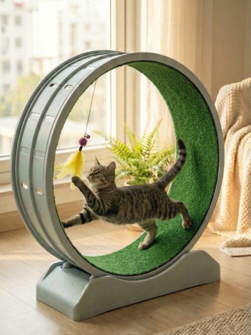 Indoor Pet Treadmill for Small Dogs & Cats