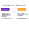 Why House of Furs Sound Ball Smart Sound-Activated Pet Ball Toy